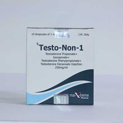 Testo-Non-1 - buy Sustanon 250 (Testosterone mix) in the online store | Price