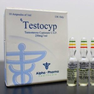 Testocyp - buy Testosterone cypionate in the online store | Price